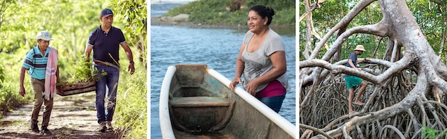 Photo of people with mangroves and boats.